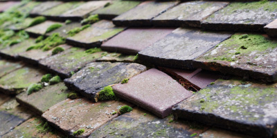 Atherton roof repair costs